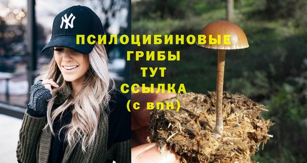 прущие крисы Алексеевка