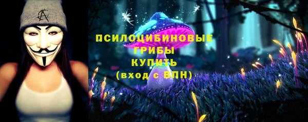 прущие крисы Алексеевка