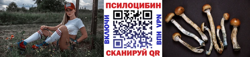 как найти закладки  Михайловск  Галлюциногенные грибы прущие грибы 