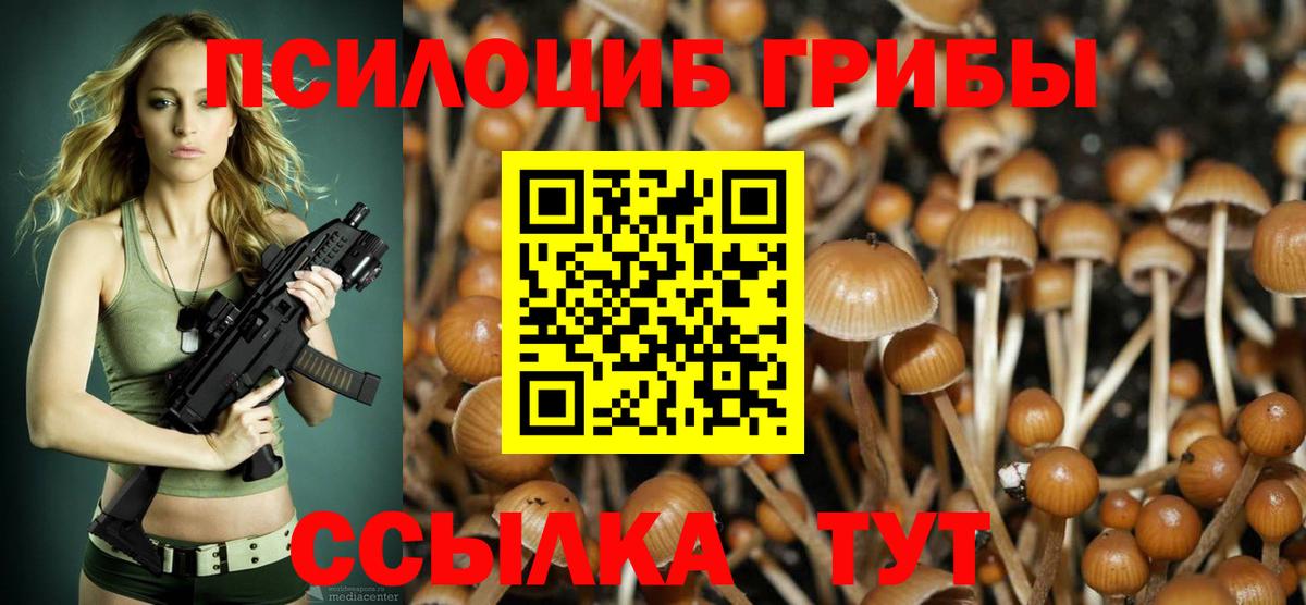 Псилоцибиновые грибы Magic Shrooms Михайловск
