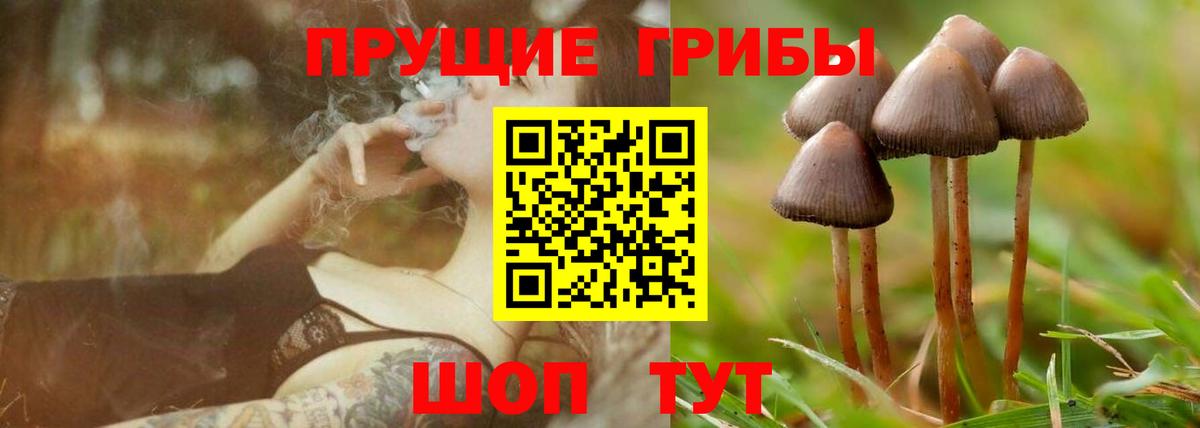 Галлюциногенные грибы Psilocybine cubensis  Вход с VPN  Михайловск 