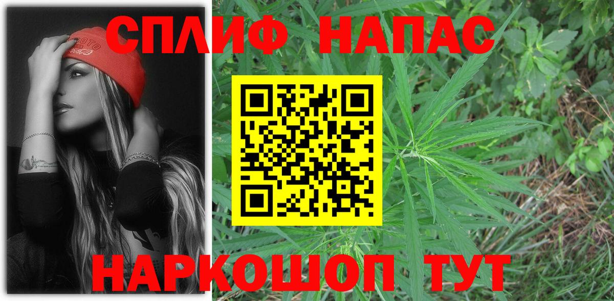 A PVP Михайловск